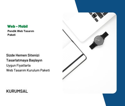 Pendik Web Tasarım Paketi