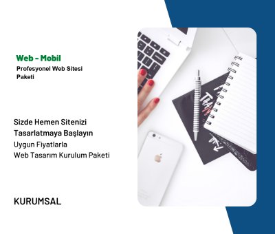 Profesyonel Web Sitesi  Paketi