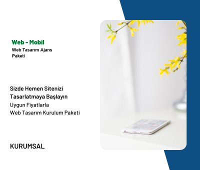 Web Tasarım Ajans Paketi