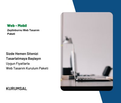 Zeytinburnu Web Tasarım Paketi